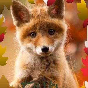 Meet your Posher, Joshua n shana